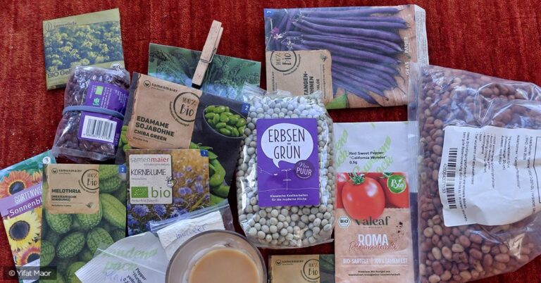 »BeiSAMENsein« – Offene Samentauschbörse im Café der Ulme35